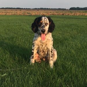 Meet your Posher, Taylor